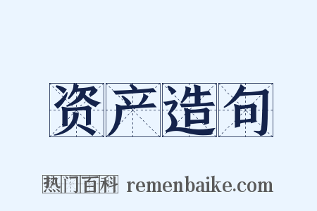 资产造句是什么意思的图片